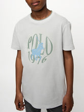 Polo Boys Cameron Printed Short Sleeve T-shirt In Grey