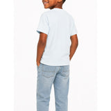 Polo Boys Brett Travel Printed Short Sleeves T-Shirt In Ice Blue
