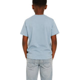 Polo Boys Ivan Printed Short Sleeves T-Shirt In Dusty Blue
