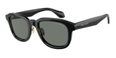 Giorgio Amani Womens Sunglasses In Black