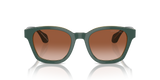 Giorgio Armani Womens Wayfarer Sunglasses In Green