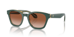 Giorgio Armani Womens Wayfarer Sunglasses In Green