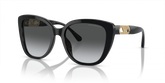 Emporio Armani Womens Butterfly Sunglasses In Shinny Black/Gold