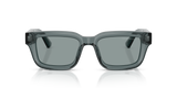 Emporio Armani Mens Sunglasses In Transparent Gray