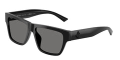 Jimmy Chooo Womens Sunglasses In Black