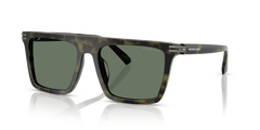 Michael Kor Womens Sunglasses In Olive Tortoise