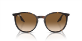 Ray-Ban Unisex Adults Sunglasses In Brown
