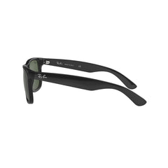 Ray-Ban Mens Sunglasses In Black