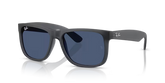 Ray Mens Justin Sunglasses In Matte Black