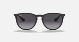 Ray-Ban Unisex Erika Sunglasses In Matte Black