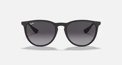Ray-Ban Unisex Erika Sunglasses In Matte Black