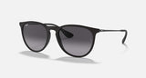 Ray-Ban Unisex Erika Sunglasses In Matte Black