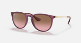 Ray-Ban Womens Erika Sunglasses In Purple