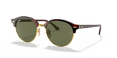 Ray-Ban Clubround Unisex Sunglasses in Havan & Gold