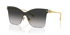 Tiffany & Co Gold Sunglasses TF3103K