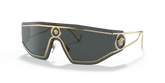 Versace Mens Sunglasses In Gold