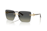 Jimmy Choo Jc4018 Womens Sunglasses In Gold