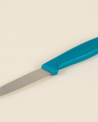 Victorinox Classic Paring 8 Cm Knife In Green