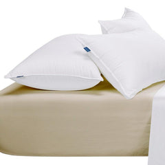Egyptian Cotton T400 Fitted Sheet In Stone