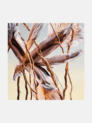 Bvlgari Terrae Essence 60Ml EDP