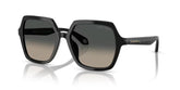 Giorgio Armani Womens Sunglasses In Black