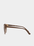 Vogue Womens 50 Sunglasses In Transparent Brown