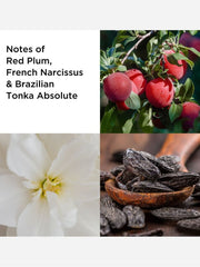 Elizabeth Arden Untold Edp