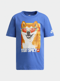 Nike Boys Stay Spicy T-Shirt In Blue