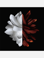 Givenchy L'Interdit Edp Rouge