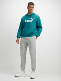 Puma Mens Essential No.1 Logo Hoodie In Emerald Green
