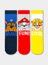 3 Pack Socks Paw Patrol Boys Multi 9 - 12 Years