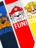 3 Pack Socks Paw Patrol Boys Multi 9 - 12 Years