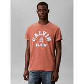 Calvin Klein Mens Calvin College T-Shirt In Brick