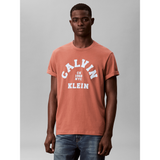 Calvin Klein Mens Calvin College T-Shirt In Brick