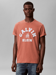 Calvin Klein Mens Calvin College T-Shirt In Brick