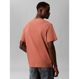 Calvin Klein Mens Calvin College T-Shirt In Brick