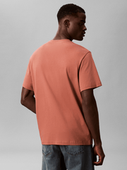 Calvin Klein Mens Calvin College T-Shirt In Brick