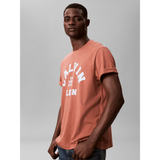 Calvin Klein Mens Calvin College T-Shirt In Brick