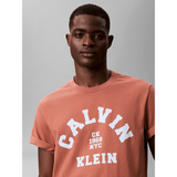 Calvin Klein Mens Calvin College T-Shirt In Brick