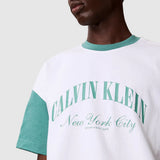Calvin Klein Mens Premium Jersey Ringer T-Shirt In White Multi