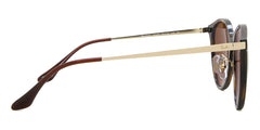 Ray-Ban Rb4334D 710/8355 Light Havana And Gold SUnglasses