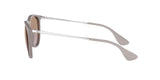 Ray-Ban Womens Erika Sunglasses In Sand/Brown