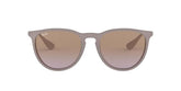 Ray-Ban Womens Erika Sunglasses In Sand/Brown