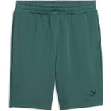 Puma Mens Essential 2 Color No.1 Logo Short 10" In Herb Garden
