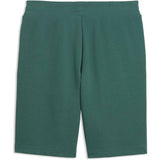 Puma Mens Essential 2 Color No.1 Logo Short 10" In Herb Garden