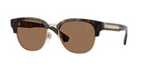 Burberry Browline Sunglasses In Dark Tortoise