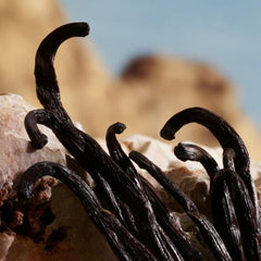 Dolce & Gabbana Q Fragrance Parfum For Women