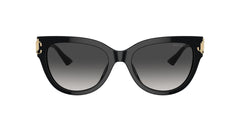 Jimmy Choo Womens Sunglasses In Black