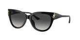 Jimmy Choo Womens Sunglasses In Black