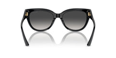 Jimmy Choo Womens Sunglasses In Black